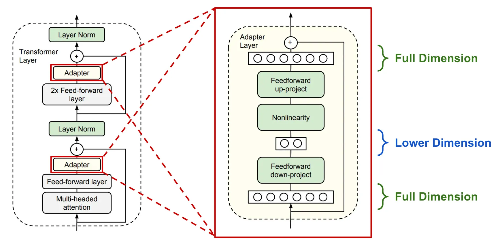 Transformer Model with Adapter Layers for Dimensionality Manipulation