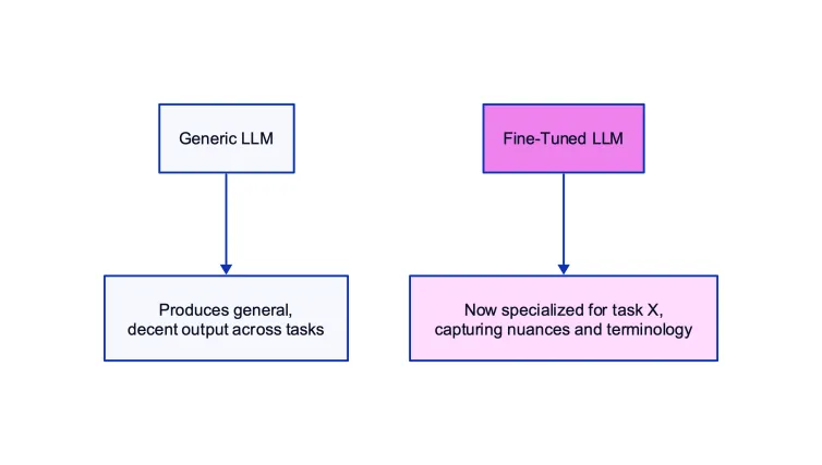 Fine-Tuned LLM