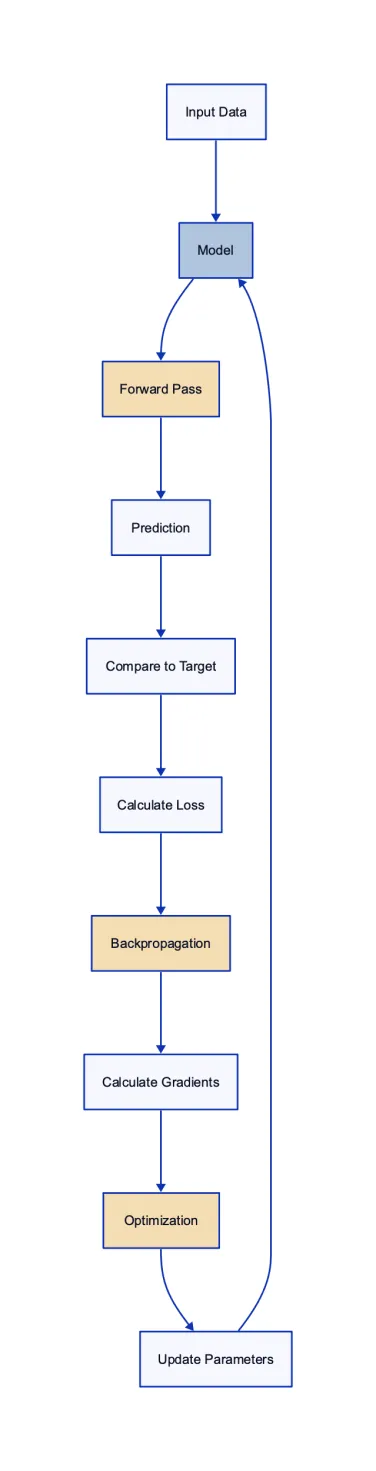 LLM Training Process